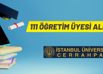 İstanbul Üniversitesi 111 öğretim üyesi alacak